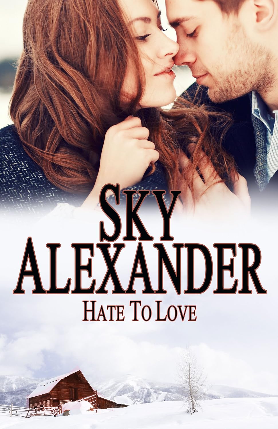 Cover of Hate to Love by Sky Alexander